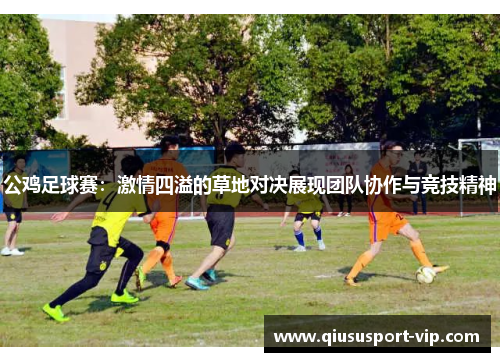 公鸡足球赛：激情四溢的草地对决展现团队协作与竞技精神